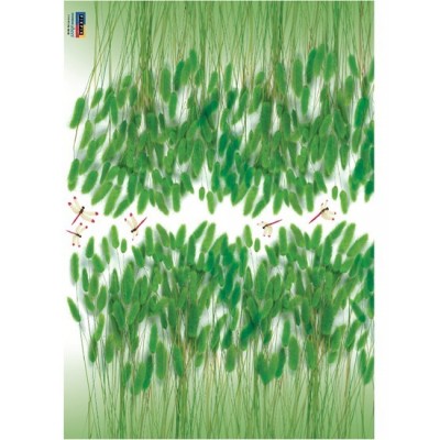 STICKER GREEN BRISTLEGRASS DP-08158