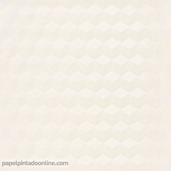 Paper pintat PERCEPTION PERP_2115_01_31