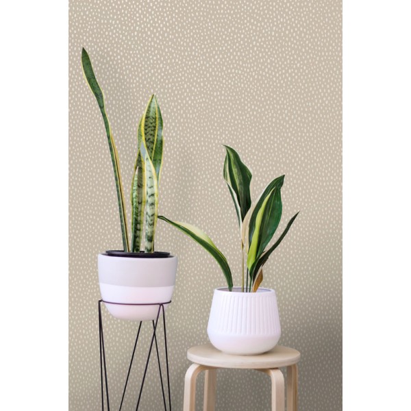 Paper pintat PATAGONIA 36142