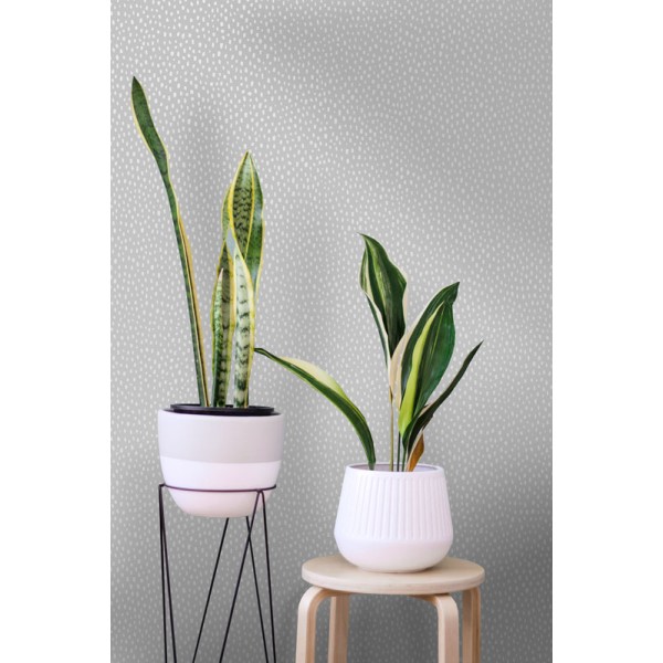 Paper pintat PATAGONIA 36141