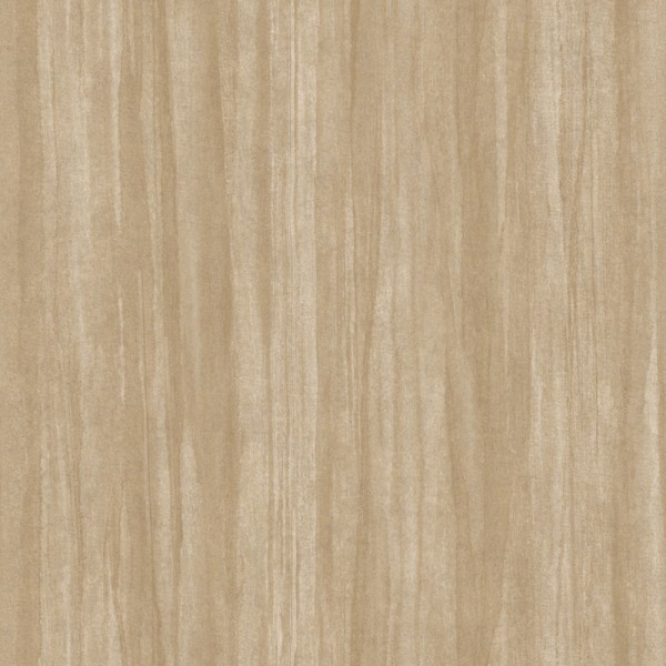Paper Pintat Eucalyptus Nicaragua NICA_8598_14_04
