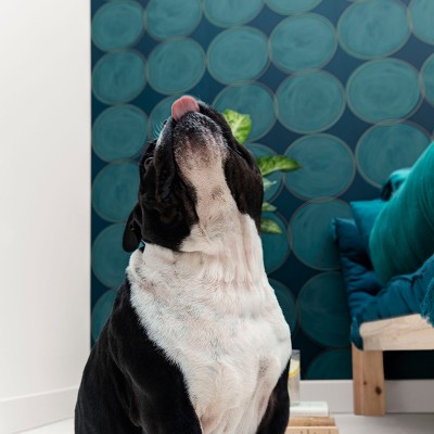 Papel de Parede All Around ARN_10288_61_26 Papel de Parede All Around ARN_10288_61_26