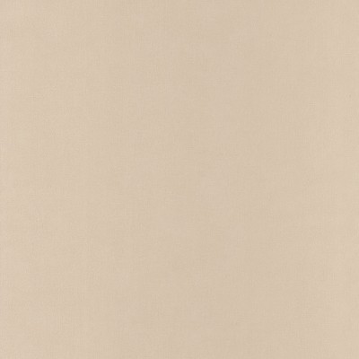 Paper Pintat ARN_6452_10_10