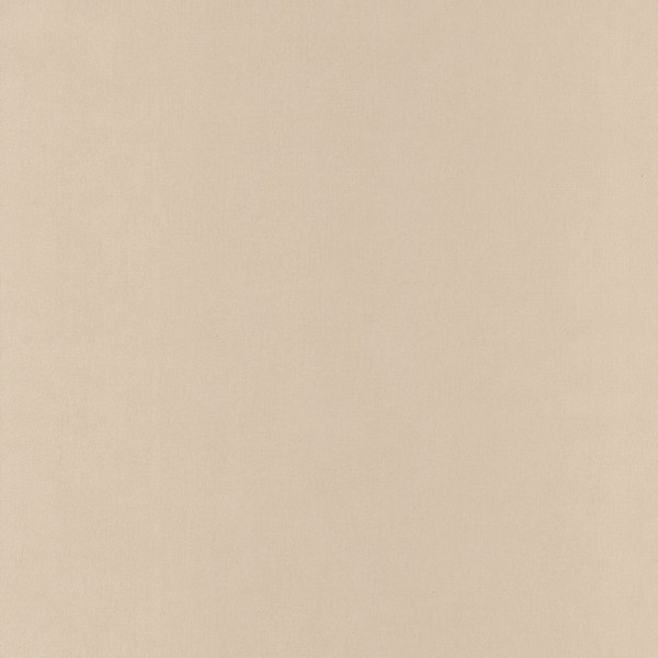 Papel Pintado ARN_6452_10_10