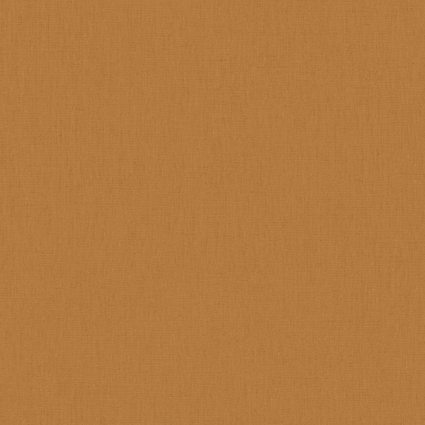 Paper Pintat ARN_6452_21_00