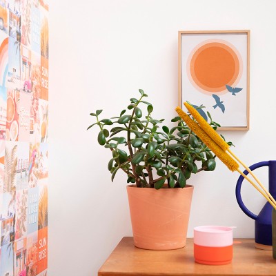 Papel de Parede Good Day YNF_10335_45_63 Papel de Parede Good Day YNF_10335_45_63