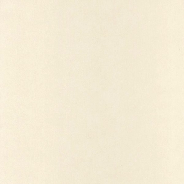 Papel Pintado Liso YNF_6452_10_10