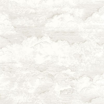 Paper pintat VOYAGE ONIRIQUE ONIR_8727_12_18 Paper pintat VOYAGE ONIRIQUE ONIR_8727_12_18