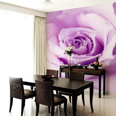 Fotomural Decorativo FV020 2