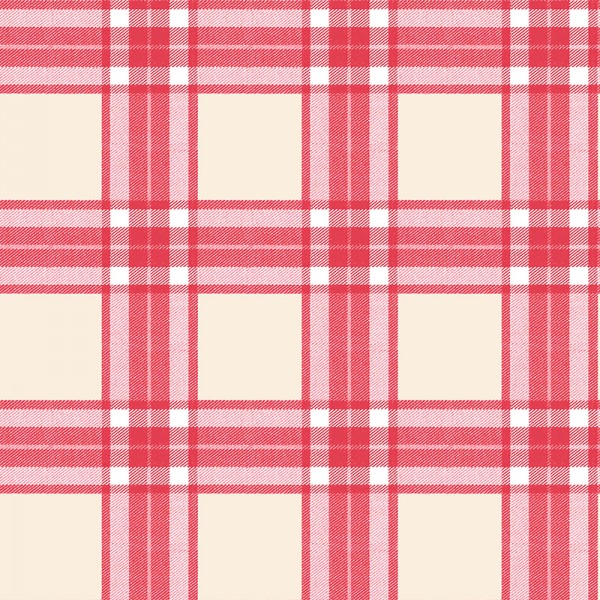 Paper pintat QUADRES ESCOCESOS 84057