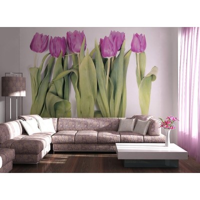 Fotomural VIOLET TULIPS BIG