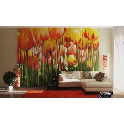 Fotomural TULIP BIG