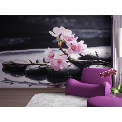 Fotomural PINK ON STONES