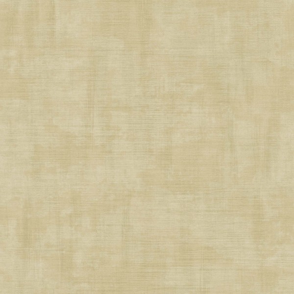 Paper pintat CVLTO 21184