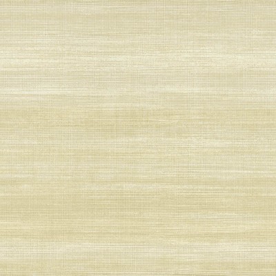 Papel pintado efecto desgastado verde vinilico CVLTO 21151