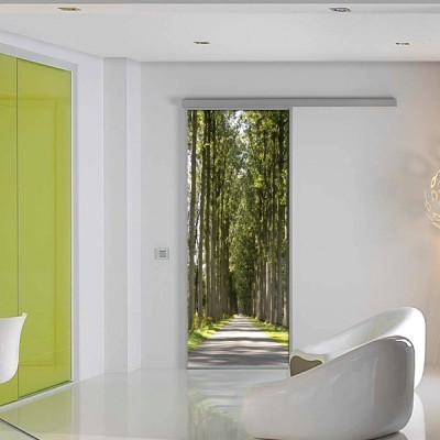 Fotomural Puerta FP080 2