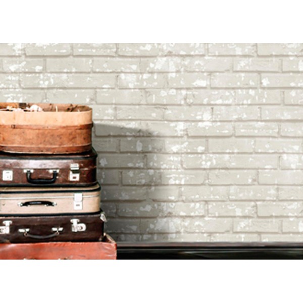 Paper pintat TOTXO BÀSIC 16166586