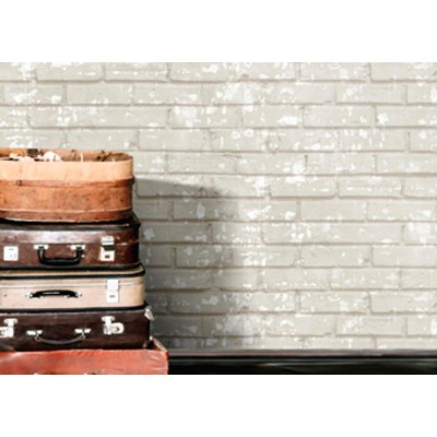 Paper pintat TOTXO BÀSIC 1616660