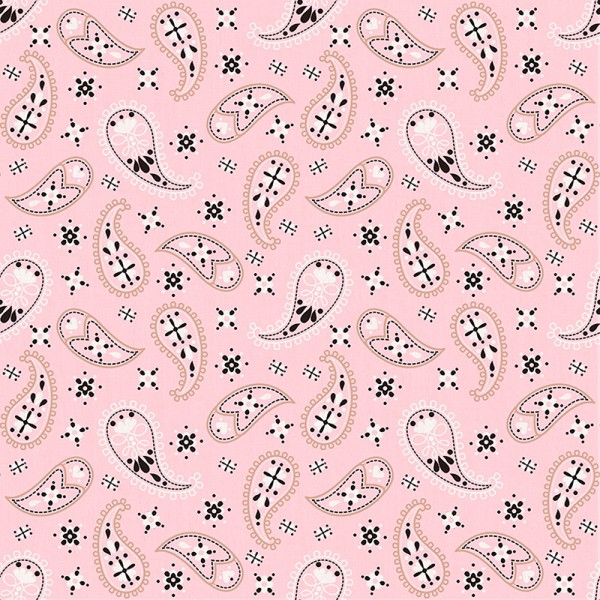 Papel de parede PAISLEY 1616629