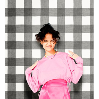 Paper pintat QUADRES VICHY GRANS 1611026 2