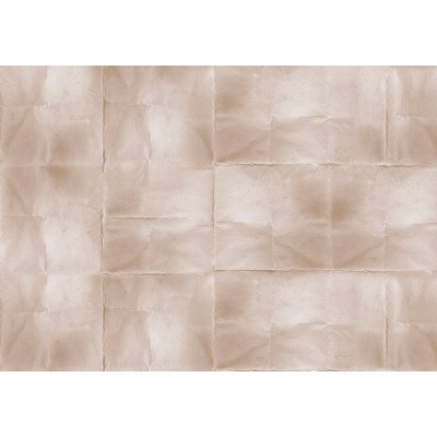 Mural Plec Closca MPCL744