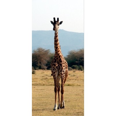 Fotomural STONES FT-0204