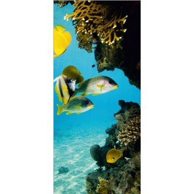 Fotomural STONES FT-0003