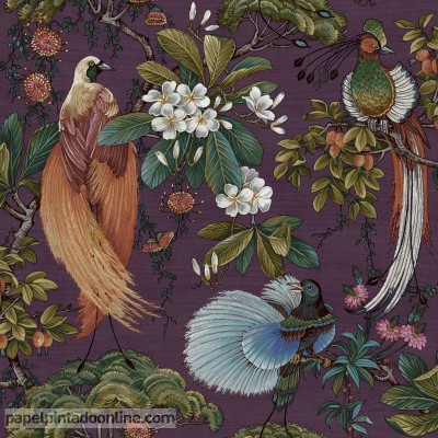 Paper pintat a metres ocells exòtics ML91400