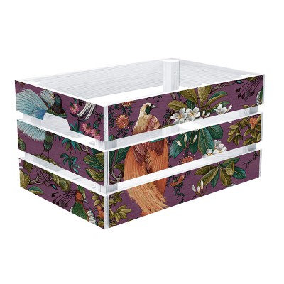 Paper pintat a metres ocells exòtics ML91400