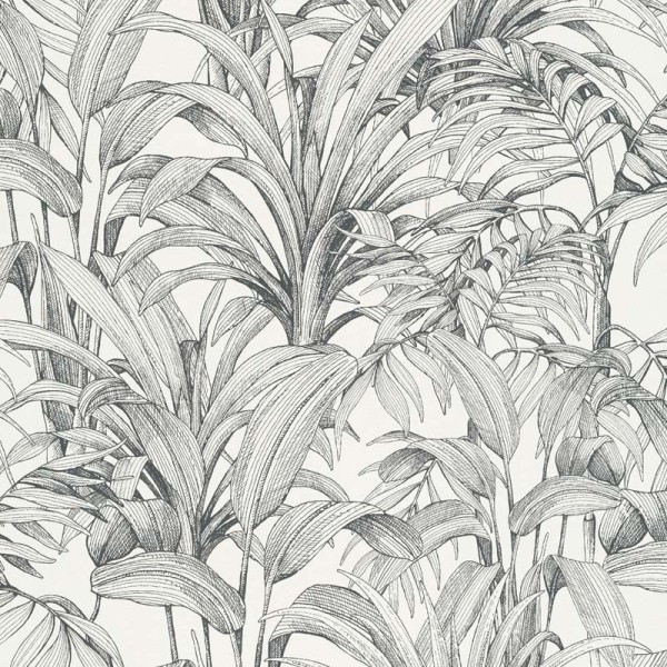 papel de parede  folhas tropicais pretas com fundo branco