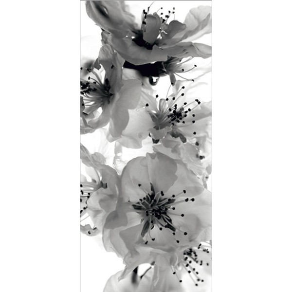 Fotomural BLACK AND WHITE FLOWERS FT-0221