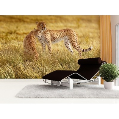 Fotomural LEOPARDS FT-0105 2