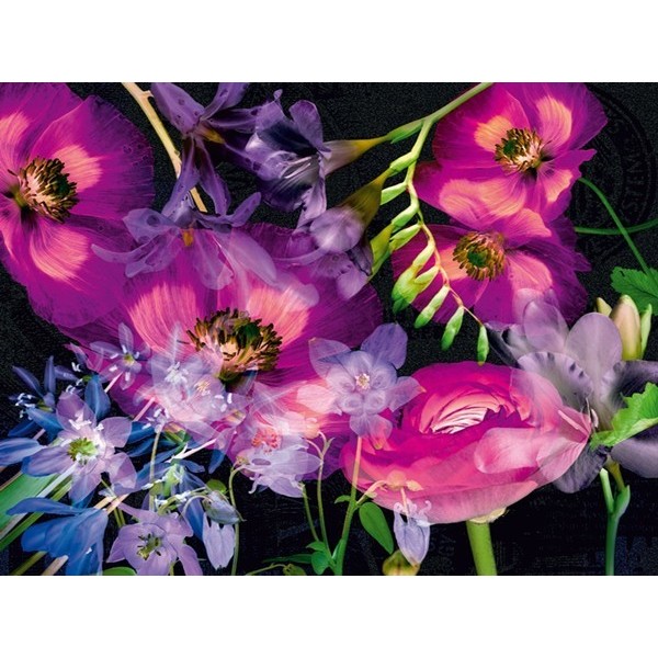 Fotomural FANTASY FLOWERS FT-0109