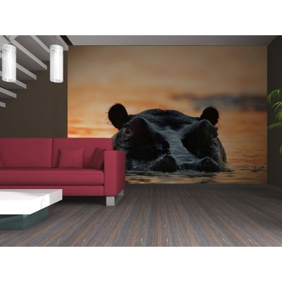 Fotomural HIPPOPOTAMU FT-0114 2