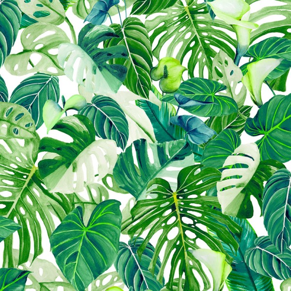 papel de parede tropical com folhas de monstera cor verde.