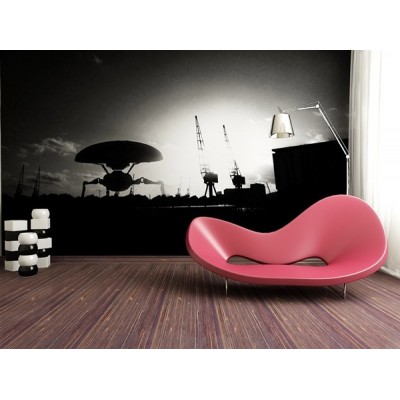 Fotomural MOON LANDING BLACK AND WHITE FT-0119