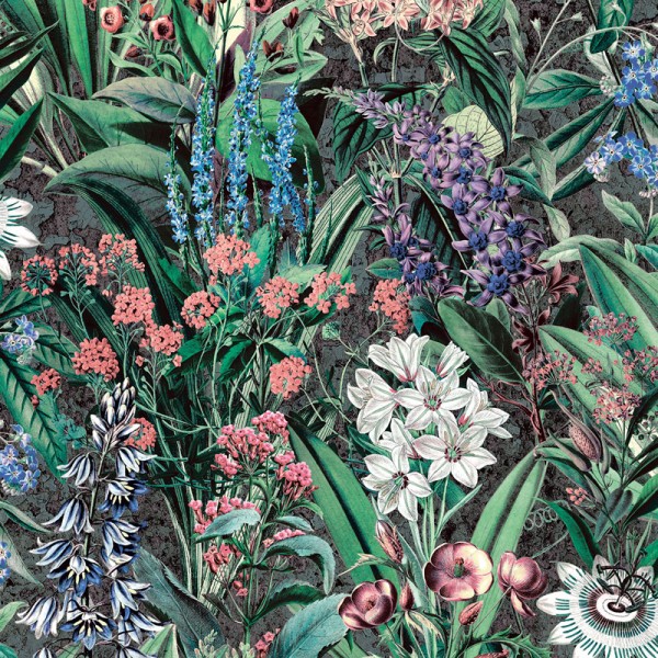 papel de parede de jardim floral cheio de diferentes plantas e flores em um fundo preto.