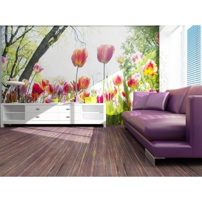 Fotomural FOREST GLADE FT-0120