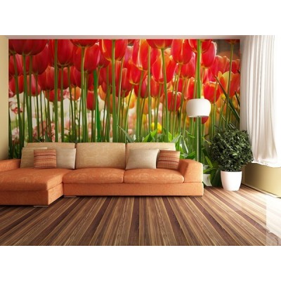 Fotomural RED TULIPS FT-0137 2