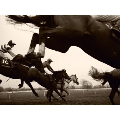 Fotomural HORSERACE FT-0139 Fotomural HORSERACE FT-0139