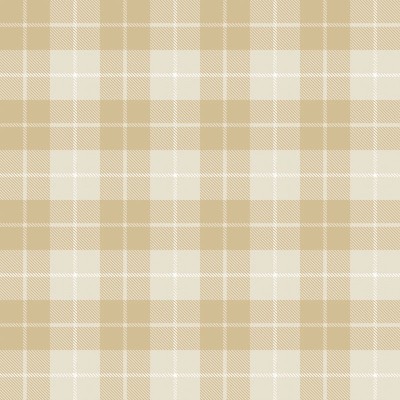 papel de parede xadrez escocês marrom