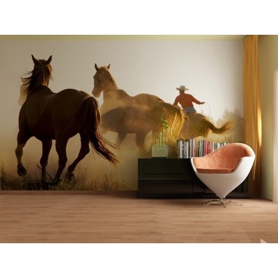 Fotomural WILD WEST FT-0142 2