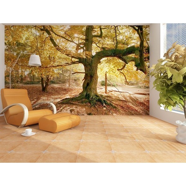 Fotomural AUTUMN FT-0149 Fotomural AUTUMN FT-0149