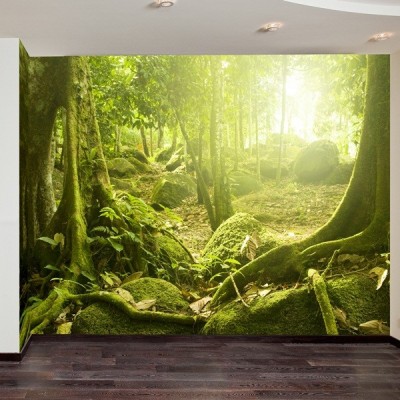 Fotomural Decorativo FV025