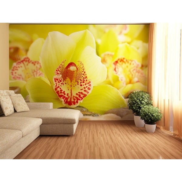 Fotomural YELLOW ORCHID FT-0153 Fotomural YELLOW ORCHID FT-0153