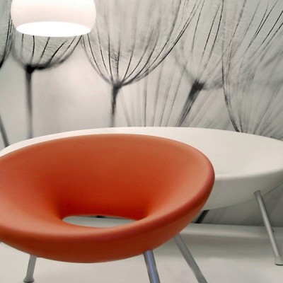 Fotomural Decorativo FV029 2