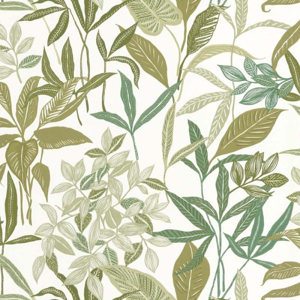 paper pintat naturalesa tropical verde caqui