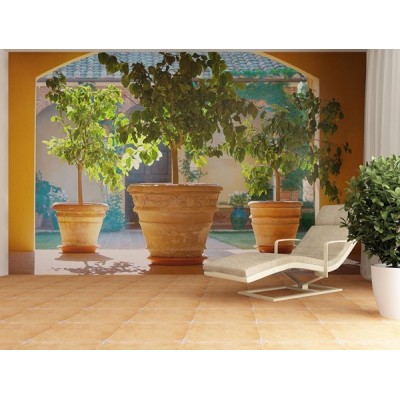 Fotomural SOUTH YARD FT-0169 2