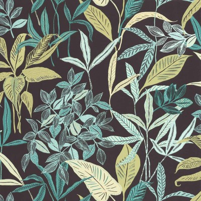 papel de parede natureza tropical cor verde com fundo preto papel de parede natureza tropical cor verde com fundo preto