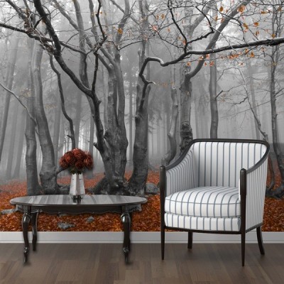 Fotomural Decorativo FV030